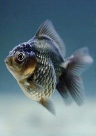 【GL】女生?女生